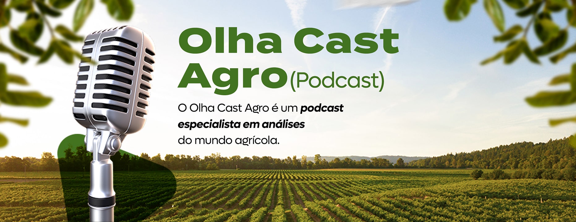 Banner com texto "Olha cast Agro. O podcast especialista em análises do mundo agrícola"